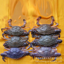 【】梭子蟹_海鲜水产品冻鱼_蟹螃蟹冻虾_厂家批发_采购价格 