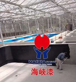 澳洲墨瑞鳕工厂化养殖技术要点