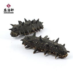 盛海轩淡干刺参 连鑫水产