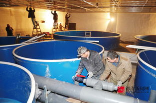 水产养殖工厂化