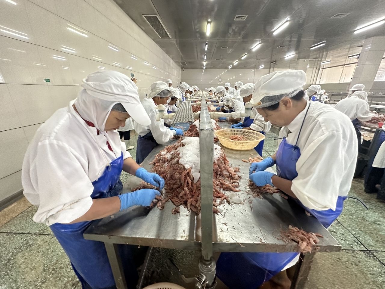 提升食材"生产力"!锅圈"超级河鲜智能工厂"石首投产_长江云 - 湖北网