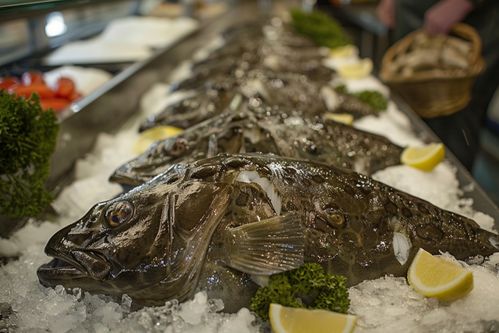 海产品食材水产鳕鱼 海报 下载至来源处