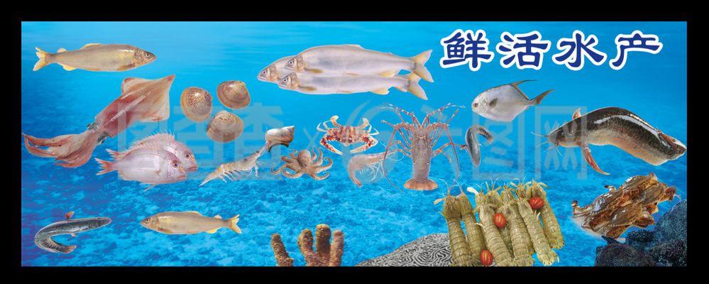 水产海报