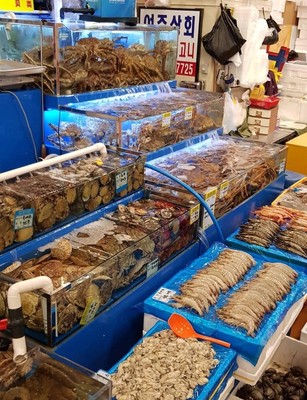 鹭梁津水产市场的第10张照片 - 十六番 - 十六番