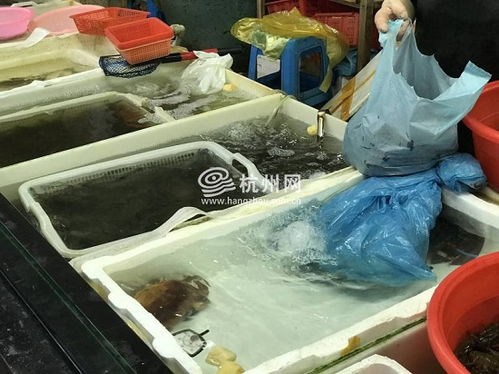 杭州出台水产养殖用药减量行动方案 舌尖上的鱼鲜将更安全