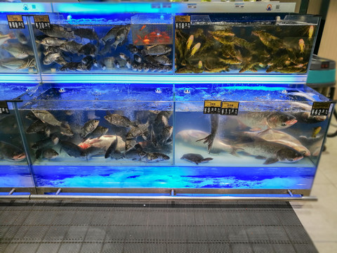 超市水产区