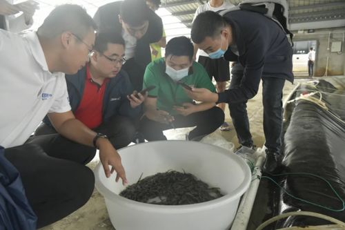 行业黑马 驰骋而来 欢迎锅圈食汇莅临国联水产考察调研