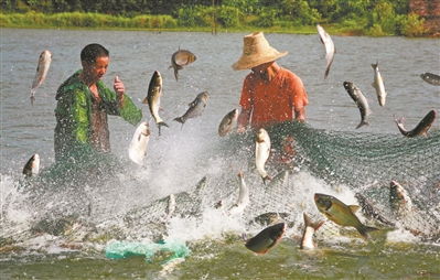 念好 山海经 发力 新赛道