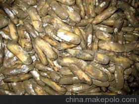 【蛏子/贝类/海鲜/水产品(图)】价格,厂家,图片,贝类,潘爱玲-
