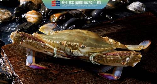 足不出户吃遍时令海鲜,舟山国际水产城牵手天猫农产品