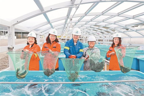我国首个冷能养殖 蓝色牧场 水美鱼肥
