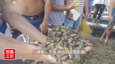 水产 –