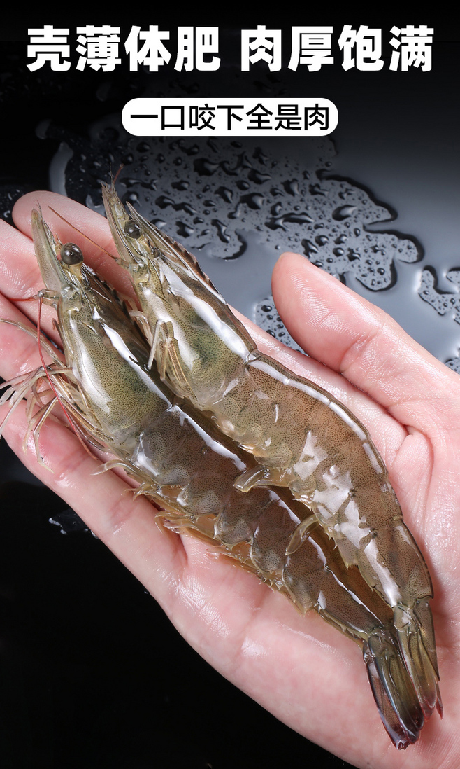 大虾鲜活速冻海虾基围虾海鲜水产冻虾青岛对虾青虾新鲜海捕超大虾-tmall.com天猫