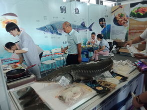2019第五届上海国际水产海鲜展览会水产品盛会等你来