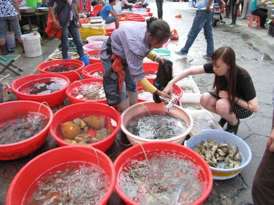 2020北海市水产市场购物,.都是活蹦乱跳的,非常新鲜.【去哪儿攻略】
