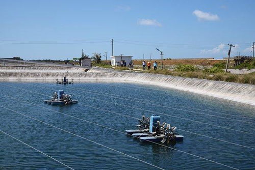溯源南海之滨 麦德龙实地考察湛江水产基地