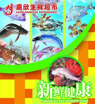 海鲜水产图片