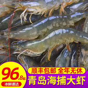 海白虾活