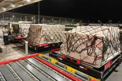 花湖机场首单鲜活水产品试航成功