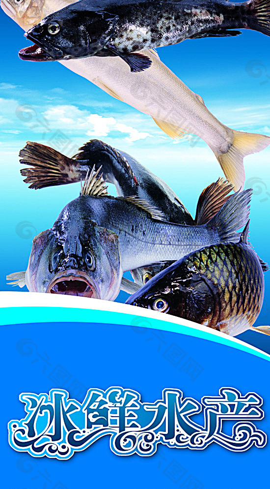 阿根廷_进口大号海虾海鲜水产【高清产品实物png素材】-.