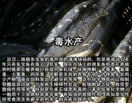 食品污染