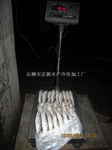 巴浪鱼 福建带鱼 福建鱿鱼 福建冷冻虾 福建竹荚鱼 福建沙丁鱼 福建鲐鱼 印尼钓带 印尼鱿鱼 福建巴浪鱼 宏源水产冷冻加工厂 福建带鱼,福建鲐鱼,福建鱿鱼