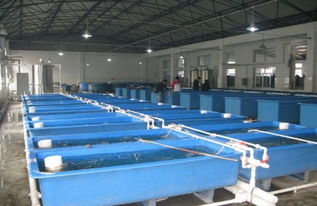 水产科技创新引领现代渔业发展——中国水产科学研究院渔业机械仪器研究所的技术服务探索