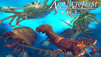 水产资源 经济价值与可持续发展