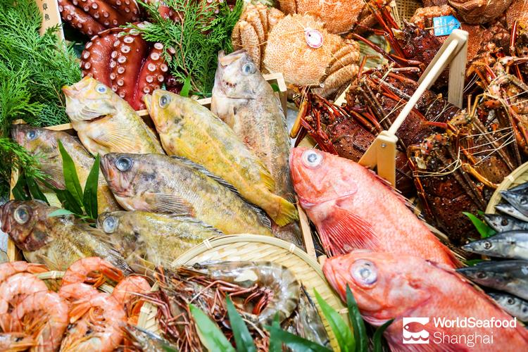 精彩纷呈，再创辉煌 第14届上海国际渔业博览会第二日盛况