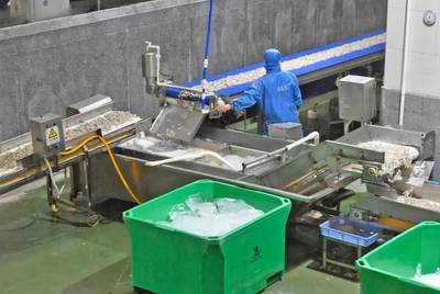 他山之石 | 阳江这家水产公司 精准破局，产量产值逆势回归